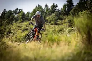 bicycle rental village of character