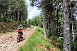 bicycle rental village of character