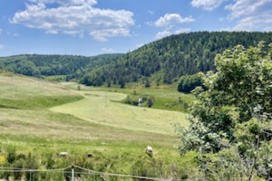 fietsverhuur dorp van karakter